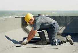 Best Roof Insulation Installation  in Las Lomas, TX